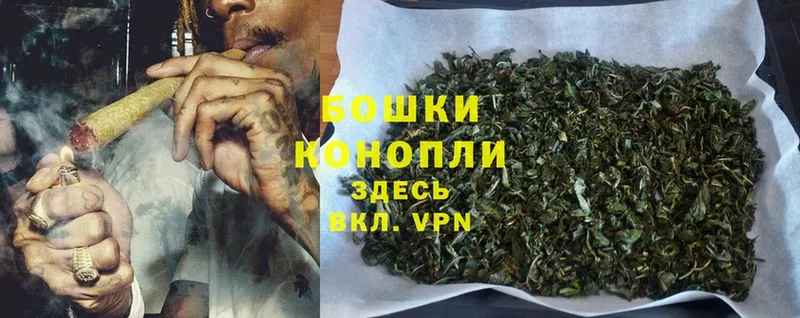 Конопля White Widow  купить наркотик  Железногорск 